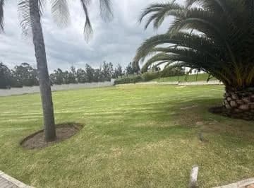 Se Vende Terreno en Puembo — imagen 3