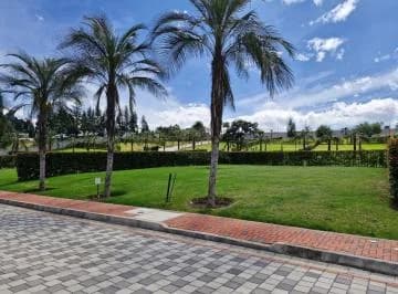 Terreno de Venta en Puembo Sector Nuevo Colegio Americano — imagen 5