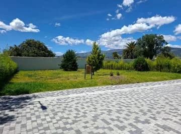 Terreno de 447 m² en Venta en Puembo con Áreas Verdes — imagen 5