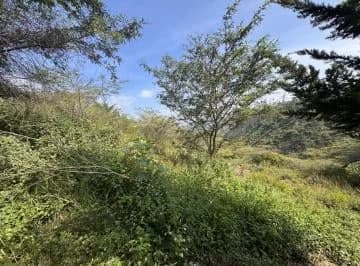 Hermoso Terreno con Linda Vista de Venta en El Ingenio Puembo! — imagen 4