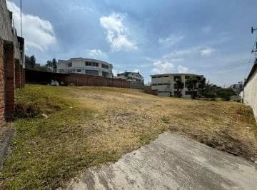 Hermoso Terreno de Arriendo (Santa Lucia) — imagen 4