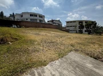 Hermoso Terreno de Arriendo (Santa Lucia) — imagen 3