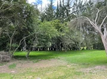 Hermoso Terreno de Venta en El Club de Golf Arrayanes! Puembo! — imagen 5