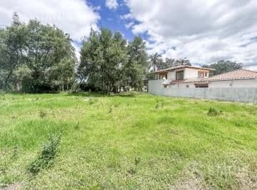 Vendo Terreno de 500 m² en Urb. Privada en Santa Rosa de Lima — imagen 4