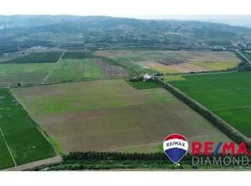 Arrocera de Venta en Rocafuerte Manabí, Manabí — imagen 2