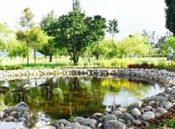 De Oportunidad Terreno de Venta en Puembo! — imagen 4