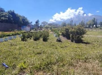 Venta Terreno Atuntaqui - Andrade Marin, Imbabura — imagen 4