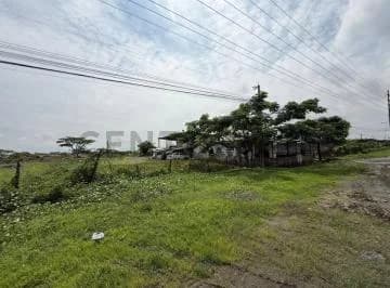 Venta de Terreno Sobre La Via Salitre, Guayas — imagen 4