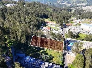 Terreno en Venta 2502 m² – Sector La Armenia (Sebastián de Benalcázar) — imagen 5