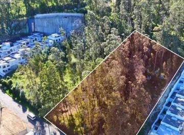 Terreno en Venta 2502 m² – Sector La Armenia (Sebastián de Benalcázar) — imagen 2