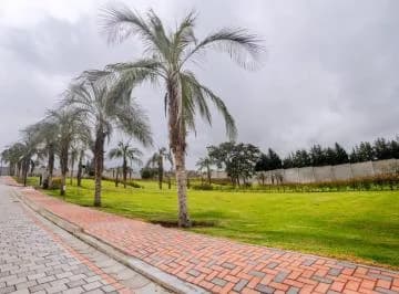 Lotes Unifamiliares en Exclusiva Urbanización – Puembo por Colegio Americano — imagen 5
