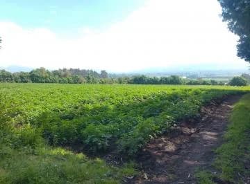 Terreno en Venta Aloasi Machachi 7.644 m² — imagen 4