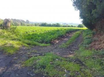 Terreno en Venta Aloasi Machachi 7.644 m² — imagen 3