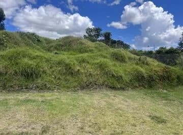 Venta Terreno Independiente Via Pifo — imagen 5