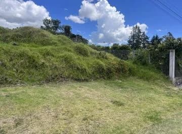 Venta Terreno Independiente Via Pifo — imagen 4