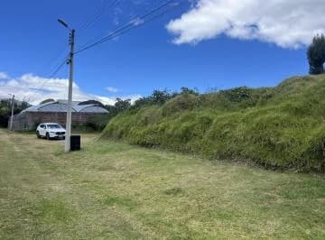 Venta Terreno Independiente Via Pifo — imagen 3