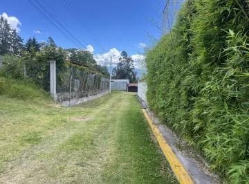 Venta Terreno Independiente Via Pifo — imagen 2