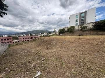 Venta Hermoso Terreno Cumbayá — imagen 5