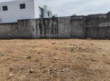 Venta Terreno de 600 m², Urbanización Isla del Rio, Mocolí, Guayas — imagen 2