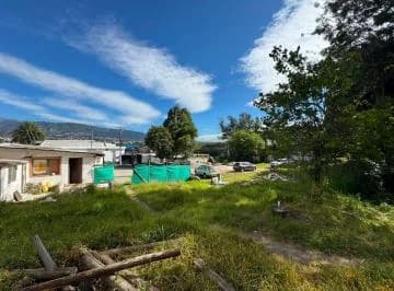 Terreno de 3300 m² en Venta en Tumbaco — imagen 5