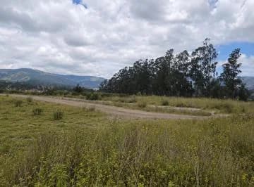 Macrolote en Venta en Pifo de 7 Hectáreas — imagen 2