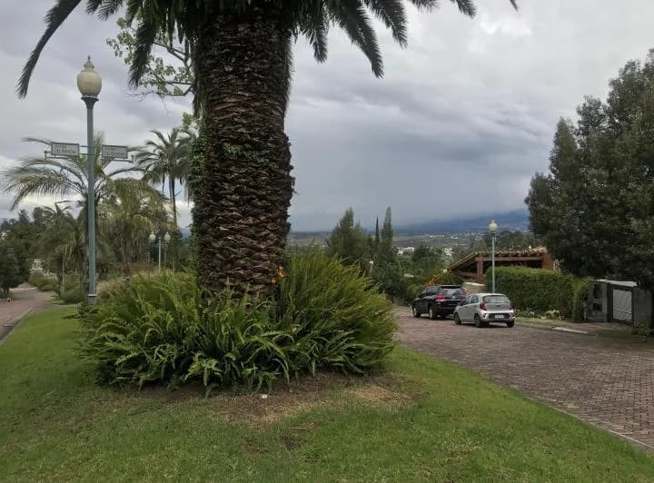 Urbanización Rancho San Francisco — imagen 1