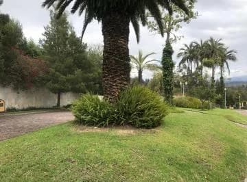 Urbanización Rancho San Francisco — imagen 4