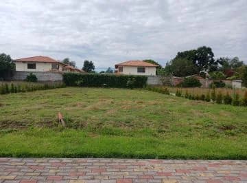 Tterreno de Venta en Tumbaco — imagen 3