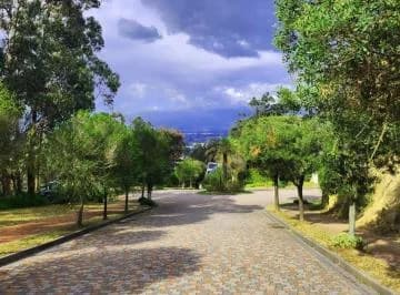 Hermoso Terreno de Venta en Urbanización Privada Cumbaya! — imagen 4