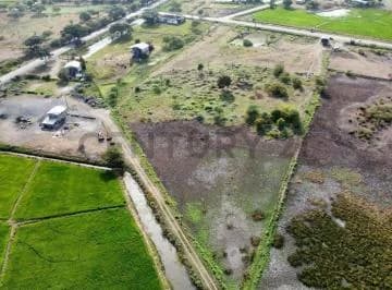 Rento Terreno Estratégico Para Proyectos Industriales Y/o Urbanos Pcev. Guayas — imagen 2