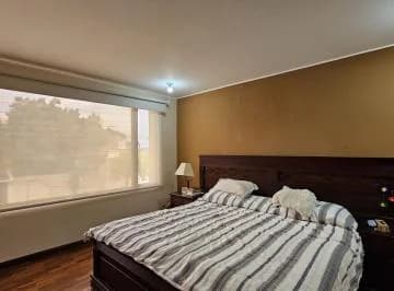 Venta Casa Independiente con Terreno en San Patricio Ideal Para Inversionistas — imagen 4