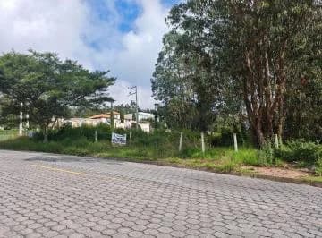 En Renta: Terreno Esquinero de 1.200 m² en Vía Principal de Nayón – Máximo Tráfico — imagen 5