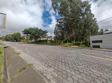 En Renta: Terreno Esquinero de 1.200 m² en Vía Principal de Nayón – Máximo Tráfico — imagen 3