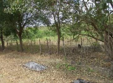 Terreno en Venta en Bajada de Chanduy Irir — imagen 4