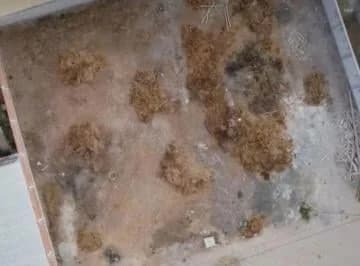Terreno de Venta en Manta Zona Norte, Manabí — imagen 2