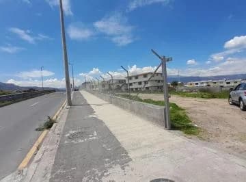 Rento Terreno de 4000 m² en La Ruta Viva — imagen 5