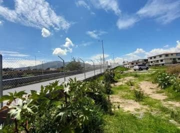 Rento Terreno de 4000 m² en La Ruta Viva — imagen 4
