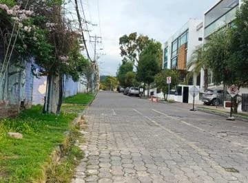 Rento Terreno 3.135 m² en La Ruta Viva Sector La Cerámica — imagen 4