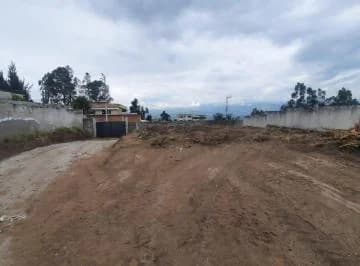 Se Arrienda Terreno Sector Embajada Americana — imagen 2