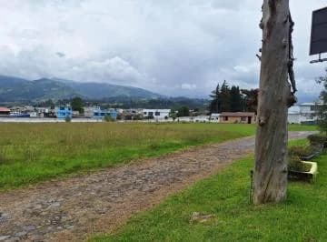 Terreno en Alquiler - 12000 m² - Av Principal - Sector Pifo — imagen 5