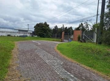 Terreno en Alquiler - 12000 m² - Av Principal - Sector Pifo — imagen 4