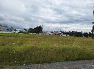 Terreno en Alquiler - 12000 m² - Av Principal - Sector Pifo — imagen 3