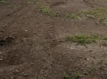 Se Vende o Se Arrienda Terreno Sector Parque Bicentenario — imagen 4