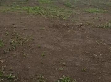 Se Vende o Se Arrienda Terreno Sector Parque Bicentenario — imagen 3