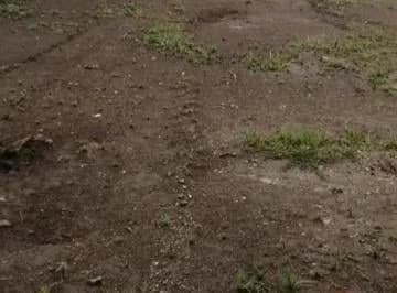 Se Vende o Se Arrienda Terreno Sector Parque Bicentenario — imagen 2