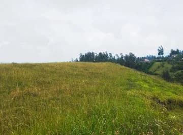 Terreno en Venta, Pintag 65,648.75 m² — imagen 4