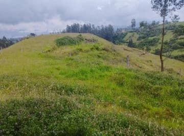 Terreno en Venta, Pintag 65,648.75 m² — imagen 3