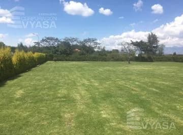 Puembo - Cerca Al Parque, Hermoso Terreno de 3.500 m² en Venta — imagen 5