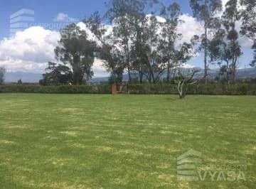Puembo - Cerca Al Parque, Hermoso Terreno de 3.500 m² en Venta — imagen 4