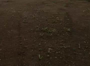 Se Arrienda Terreno Sector Parque Bicentenario - Antiguo Aeropuerto — imagen 3